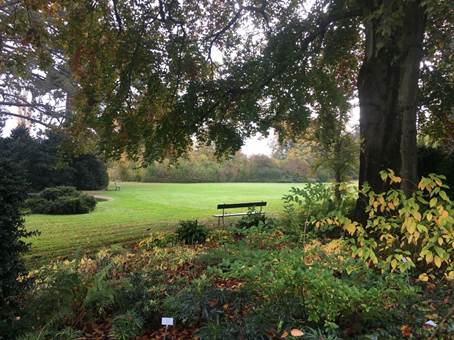 A picture containing tree, grass, outdoor, plant
Description automatically generated